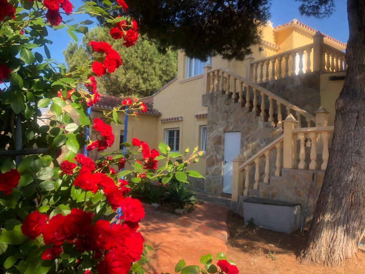 Villa Eliza Denia Kültér fotó
